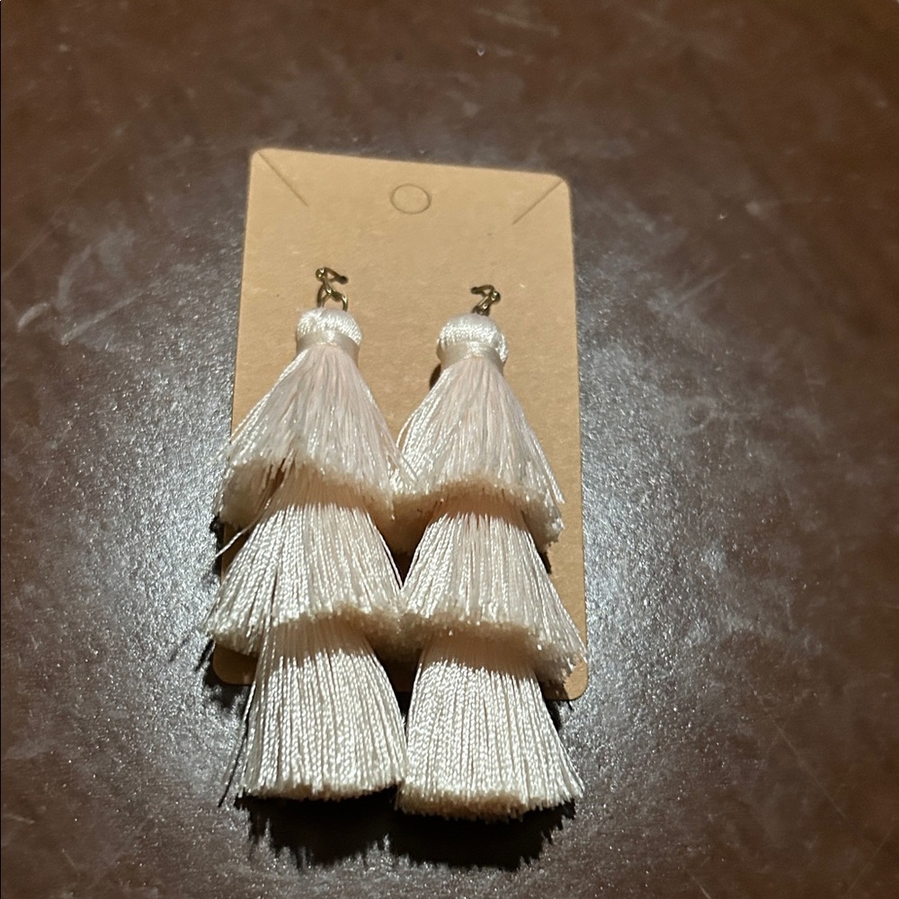 Tassel Pierced Earrings!